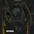  ( - MACN-bar-ins-ct 07787)  @12 [ ] Copyright (2017) MACN Museo Argentino de Ciencias Naturales "Bernardino Rivadavia"