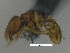  ( - MACN-Bar-Ins-ct 08067)  @11 [ ] Copyright (2019) MACN Museo Argentino de Ciencias Naturales "Bernardino Rivadavia"