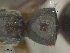  ( - MACN-bar-ins-ct 08625)  @12 [ ] Copyright (2019) Pablo L. Tubaro MACN