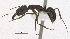  ( - MACN-Bar-Ins-5570)  @12 [ ] Copyright (2014) MACN Museo Argentino de Ciencias Naturales 'Bernardo Rivadavia'