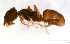  ( - ww16015)  @13 [ ] CreativeCommons - Attribution Non-Commercial Share-Alike (2012) Holger Loecker Orange Agricultural Institute, NSW DPI