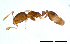  ( - ww16030)  @11 [ ] CreativeCommons - Attribution Non-Commercial Share-Alike (2012) Holger Loecker Orange Agricultural Institute, NSW DPI