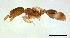  ( - ww16031)  @11 [ ] CreativeCommons - Attribution Non-Commercial Share-Alike (2012) Holger Loecker Orange Agricultural Institute, NSW DPI