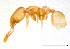  ( - ww16079)  @11 [ ] CreativeCommons - Attribution Non-Commercial Share-Alike (2012) Holger Loecker Orange Agricultural Institute, NSW DPI