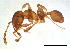  ( - ww16099)  @11 [ ] CreativeCommons - Attribution Non-Commercial Share-Alike (2012) Holger Loecker Orange Agricultural Institute, NSW DPI