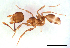  ( - ww16100)  @11 [ ] CreativeCommons - Attribution Non-Commercial Share-Alike (2012) Holger Loecker Orange Agricultural Institute, NSW DPI