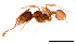  ( - ww16118)  @11 [ ] CreativeCommons - Attribution Non-Commercial Share-Alike (2012) Holger Loecker Orange Agricultural Institute, NSW DPI