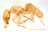  ( - ww16131)  @11 [ ] CreativeCommons - Attribution Non-Commercial Share-Alike (2012) Holger Loecker Orange Agricultural Institute, NSW DPI
