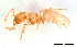  ( - ww16132)  @11 [ ] CreativeCommons - Attribution Non-Commercial Share-Alike (2012) Holger Loecker Orange Agricultural Institute, NSW DPI