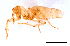  ( - ww16133)  @11 [ ] CreativeCommons - Attribution Non-Commercial Share-Alike (2012) Holger Loecker Orange Agricultural Institute, NSW DPI