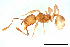  ( - ww16137)  @11 [ ] CreativeCommons - Attribution Non-Commercial Share-Alike (2012) Holger Loecker Orange Agricultural Institute, NSW DPI