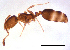  ( - ww16145)  @14 [ ] CreativeCommons - Attribution Non-Commercial Share-Alike (2012) Holger Loecker Orange Agricultural Institute, NSW DPI