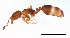  ( - ww16146)  @13 [ ] CreativeCommons - Attribution Non-Commercial Share-Alike (2012) Holger Loecker Orange Agricultural Institute, NSW DPI