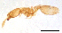  ( - ww16171)  @11 [ ] CreativeCommons - Attribution Non-Commercial Share-Alike (2012) Holger Loecker Orange Agricultural Institute, NSW DPI