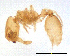  ( - ww16172)  @11 [ ] CreativeCommons - Attribution Non-Commercial Share-Alike (2012) Holger Loecker Orange Agricultural Institute, NSW DPI