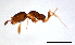  ( - ww16187)  @11 [ ] CreativeCommons - Attribution Non-Commercial Share-Alike (2012) Holger Loecker Orange Agricultural Institute, NSW DPI