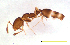  ( - ww16194)  @11 [ ] CreativeCommons - Attribution Non-Commercial Share-Alike (2012) Holger Loecker Orange Agricultural Institute, NSW DPI