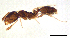  ( - ww16197)  @12 [ ] CreativeCommons - Attribution Non-Commercial Share-Alike (2012) Holger Loecker Orange Agricultural Institute, NSW DPI