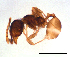  ( - ww16232)  @13 [ ] CreativeCommons - Attribution Non-Commercial Share-Alike (2012) Holger Loecker Orange Agricultural Institute, NSW DPI