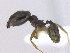  ( - MACN-Bar-Ins-ct 02879)  @11 [ ] Copyright (2013) MACN Museo Argentino de Ciencias Naturales "Bernardino Rivadavia"