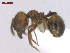  ( - MACN-Bar-Ins-ct 02932)  @11 [ ] Copyright (2013) MACN Museo Argentino de Ciencias Naturales "Bernardino Rivadavia"