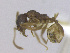  ( - T3S16m2009PNIC05)  @11 [ ] Copyright (2013) MACN Museo Argentino de Ciencias Naturales "Bernardino Rivadavia"
