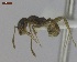  ( - T3S16a2008PNIC12)  @13 [ ] Copyright (2013) MACN Museo Argentino de Ciencias Naturales "Bernardino Rivadavia"