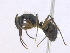  ( - T4P22008PNID04)  @11 [ ] Copyright (2013) MACN Museo Argentino de Ciencias Naturales "Bernardino Rivadavia"