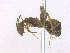  ( - T2P12008PNIE07)  @11 [ ] Copyright (2013) MACN Museo Argentino de Ciencias Naturales "Bernardino Rivadavia"