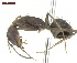  ( - MACN-Bar-Ins-ct 04992)  @11 [ ] Copyright (2013) MACN Museo Argentino de Ciencias Naturales "Bernardino Rivadavia"