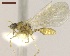  (Pheidole rugatula - MACN-Bar-Ins-ct 05070)  @13 [ ] Copyright (2013) MACN Museo Argentino de Ciencias Naturales "Bernardino Rivadavia"