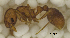  ( - MACN-Bar-Ins-ct 06858)  @11 [ ] Copyright (2015) MACN Museo Argentino de Ciencias Naturales "Bernardino Rivadavia"