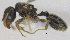  ( - MACN-bar-ins-ct 06875)  @11 [ ] Copyright (2015) MACN Museo Argentino de Ciencias Naturales "Bernardino Rivadavia"