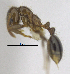  ( - MACN-bar-ins-ct 06930)  @12 [ ] Copyright (2015) MACN Museo Argentino de Ciencias Naturales "Bernardino Rivadavia"