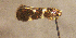  ( - TER1CS)  @12 [ ] Unspecified (default): All Rights Reserved  Unspecified Unspecified