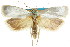  ( - ANTXY0026)  @11 [ ] CreativeCommons - Attribution (2012) ANIC/CBG Photography Group Centre for Biodiversity Genomics
