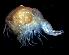  ( - 45812)  @13 [ ] Unspecified (default): All Rights Reserved  Unspecified Unspecified