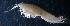  ( - 31768_29.2)  @13 [ ] Unspecified (default): All Rights Reserved  Unspecified Unspecified