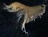  ( - 31776_5.1)  @13 [ ] Unspecified (default): All Rights Reserved  Unspecified Unspecified