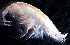 ( - 31776_14)  @13 [ ] Unspecified (default): All Rights Reserved  Unspecified Unspecified