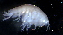  ( - 31780_6)  @12 [ ] Unspecified (default): All Rights Reserved  Unspecified Unspecified