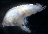  ( - 31780_14)  @13 [ ] Unspecified (default): All Rights Reserved  Unspecified Unspecified
