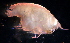  ( - 31794_9)  @13 [ ] Unspecified (default): All Rights Reserved  Unspecified Unspecified