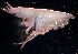  ( - 31794_18.7)  @13 [ ] Unspecified (default): All Rights Reserved  Unspecified Unspecified