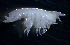  ( - 31794_21)  @13 [ ] Unspecified (default): All Rights Reserved  Unspecified Unspecified