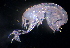  ( - 31794_28)  @13 [ ] Unspecified (default): All Rights Reserved  Unspecified Unspecified