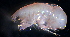  ( - 31794_34)  @13 [ ] Unspecified (default): All Rights Reserved  Unspecified Unspecified