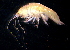  ( - 31797_11.3)  @13 [ ] Unspecified (default): All Rights Reserved  Unspecified Unspecified