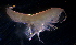  ( - 31797_27)  @13 [ ] Unspecified (default): All Rights Reserved  Unspecified Unspecified
