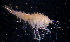  ( - 31816_1.1)  @13 [ ] Unspecified (default): All Rights Reserved  Unspecified Unspecified